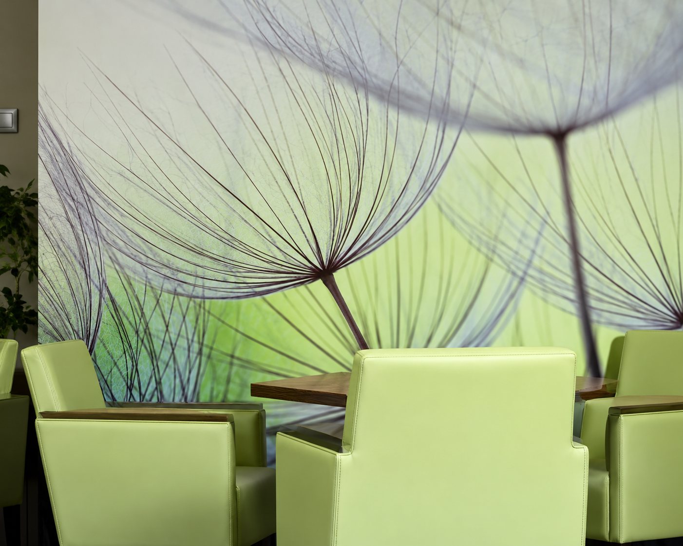 Des chaises vertes et une table sont installées devant de grands voilages blancs translucides dans une pièce lumineuse.