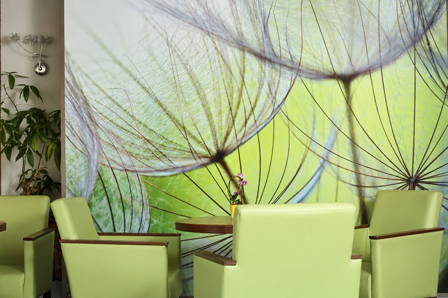 Des fauteuils vert clair avec accoudoirs en bois entourent une petite table devant une immense fresque murale représentant des akènes de pissenlit.