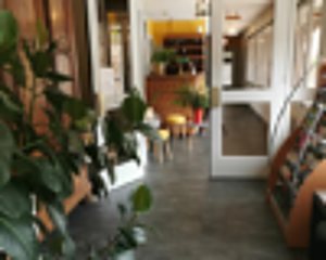 Intérieur lumineux d'une boutique avec de grandes plantes vertes au premier plan et une porte vitrée donnant sur une pièce au fond.